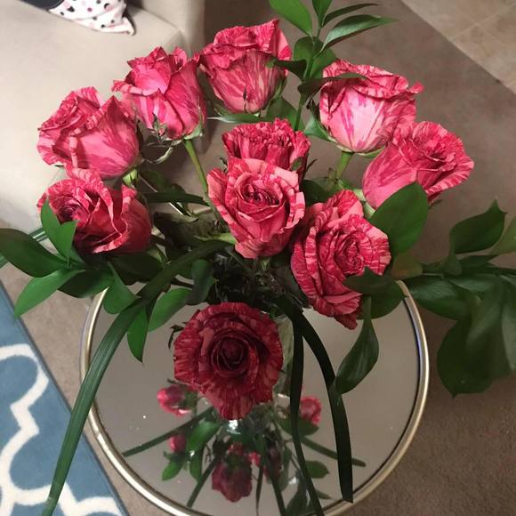 Meet your Posher, Channie - Picture 1 of 1